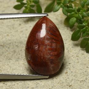 7.90 ct Multicolor Coral Gemstone, Coral Gem in Pear Cabochon Shape for Sale.