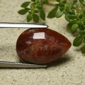 7.90 ct Multicolor Coral Stone, Natural Coral in Pear Cabochon Shape for Sale