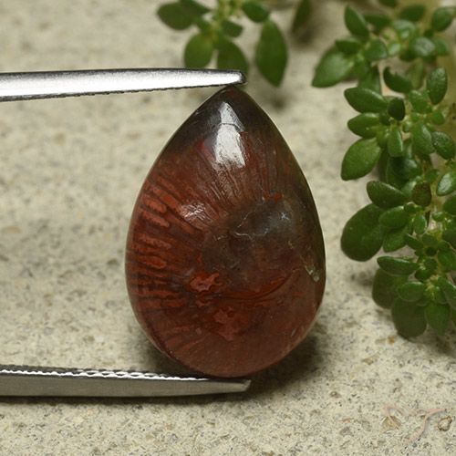 7.03ct Natural Multicolor Coral, Pear Shape, Opaque