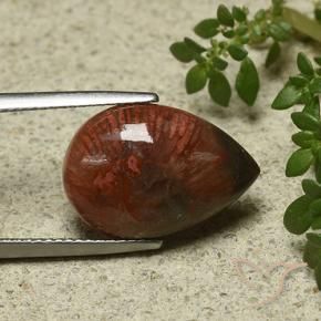 7.03 ct Multicolor Coral Stone, Natural Coral in Pear Cabochon Shape for Sale