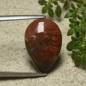 Coral Gemstone in 17.4 x 12.1 mm Size for Sale, Coral Stone in Multicolor Color