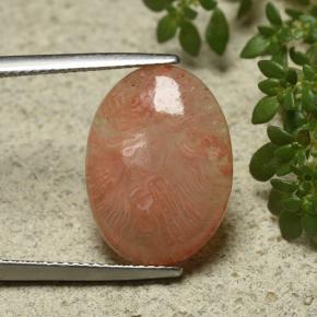 6.55 ct Multicolor Coral Gemstone, Coral Gem in Oval Cabochon Shape for Sale.