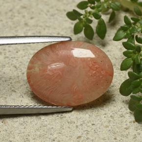 6.55 ct Multicolor Coral Stone, Natural Coral in Oval Cabochon Shape for Sale