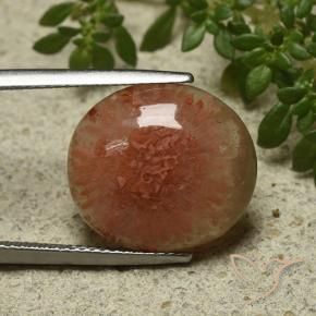 9.34 ct Multicolor Coral Stone, Natural Coral in Oval Cabochon Shape for Sale