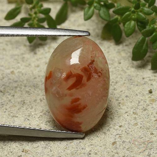 6.87ct Natural Multicolor Coral, Oval, Translucent