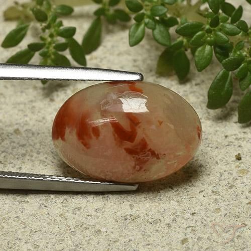 6.87 ct Multicolor Coral Stone, Natural Coral in Oval Cabochon Shape for Sale