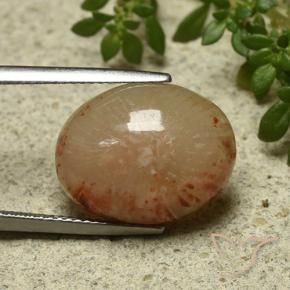 11.57 ct Multicolor Coral Stone, Natural Coral in Oval Cabochon Shape for Sale