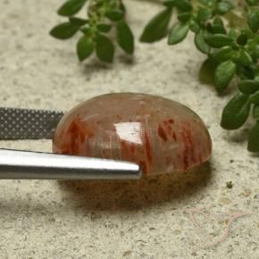 Coral Gemstone in 17 x 13.5 mm Size for Sale, Coral Stone in Multicolor Color