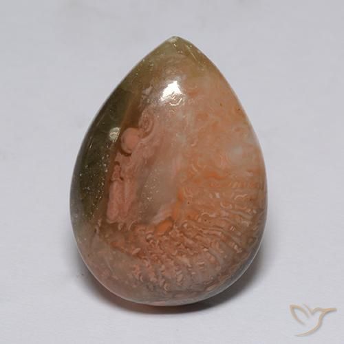 9.60 ct Multicolor Coral Stone, Natural Coral in Pear Cabochon Shape for Sale