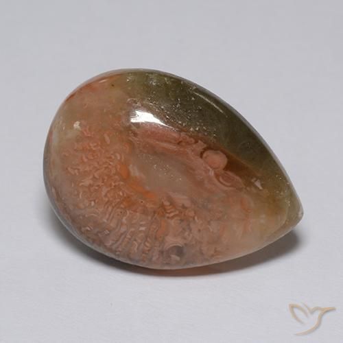 Coral Gemstone in 18.8 x 13.8 mm Size for Sale, Coral Stone in Multicolor Color
