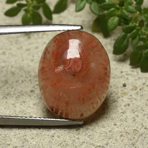 9.87ct Natural Multicolor Coral, Oval, Translucent