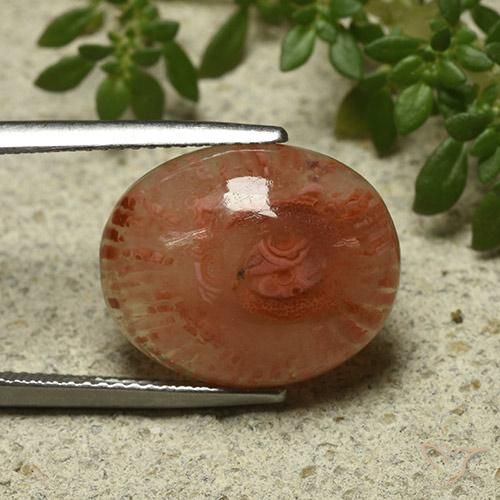 9.87 ct Multicolor Coral Stone, Natural Coral in Oval Cabochon Shape for Sale