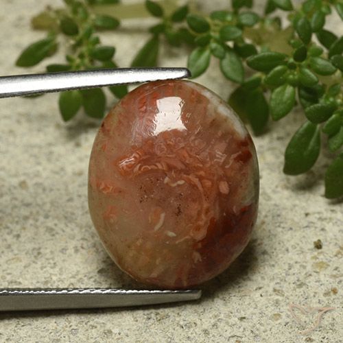 9.58ct Natural Multicolor Coral, Oval, Translucent