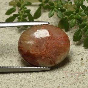 9.58 ct Multicolor Coral Stone, Natural Coral in Oval Cabochon Shape for Sale