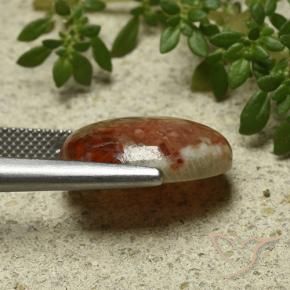 Coral Gemstone in 16.7 x 13.7 mm Size for Sale, Coral Stone in Multicolor Color