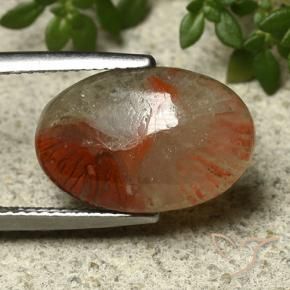 5.91 ct Multicolor Coral Stone, Natural Coral in Oval Cabochon Shape for Sale