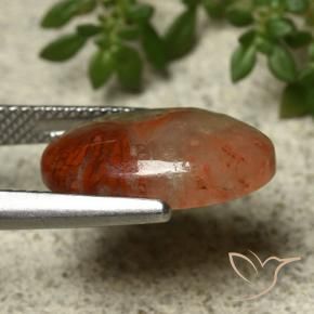 Coral Gemstone in 16.1 x 10.6 mm Size for Sale, Coral Stone in Multicolor Color