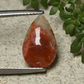 2.3ct Pear Cabochon Multicolor Coral for sale thumb image of 2.3ct Pear Cabochon Multicolor Coral (ID: 492182)