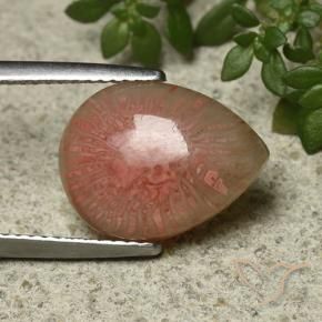 5.12 ct Multicolor Coral Stone, Natural Coral in Pear Cabochon Shape for Sale