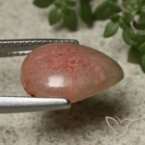 Coral Gemstone in 14.3 x 10.8 mm Size for Sale, Coral Stone in Multicolor Color