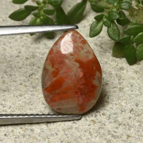 2.3ct Pear Cabochon Multicolor Coral Gem for sale 2.3ct Pear Cabochon Multicolor Coral Gem (ID: 492187)