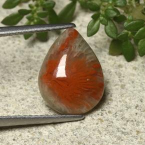 3.31 ct Multicolor Coral Gemstone, Coral Gem in Pear Cabochon Shape for Sale.
