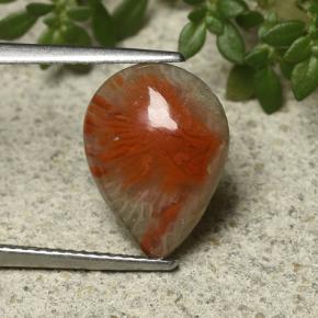 Coral Gemstone in 13.5 x 10.1 mm Size for Sale, Coral Stone in Multicolor Color