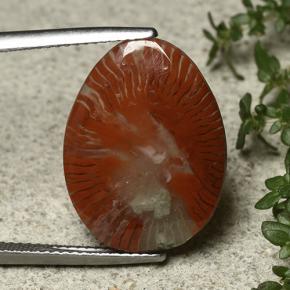 Multicolor Coral Gema - 8.6ct Cabujón Pera (ID: 492195)