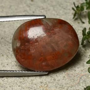 14.74 ct Multicolor Coral Stone, Natural Coral in Oval Cabochon Shape for Sale