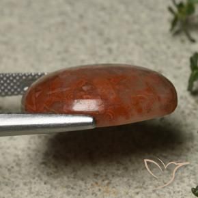 Coral Gemstone in 20.2 x 15.9 mm Size for Sale, Coral Stone in Multicolor Color