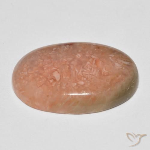 Coral Gemstone in 21.4 x 14.4 mm Size for Sale, Coral Stone in Multicolor Color