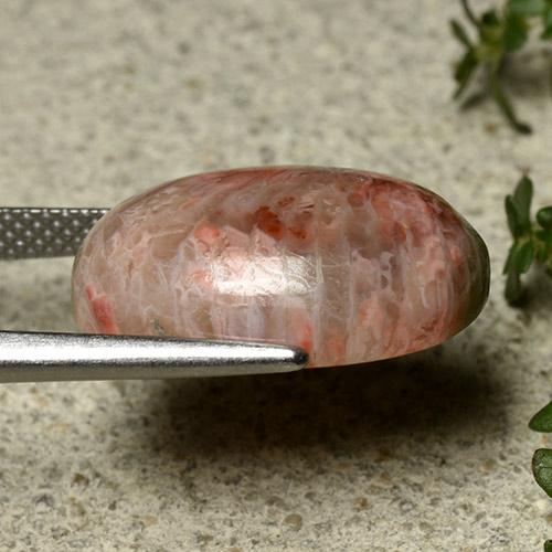 Coral Gemstone in 18 x 13 mm (calibrated) Size for Sale, Coral Stone in Multicolor Color