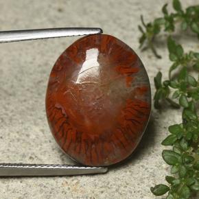 12.59 ct Multicolor Coral Gemstone, Coral Gem in Oval Cabochon Shape for Sale.