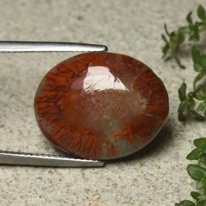 12.59 ct Multicolor Coral Stone, Natural Coral in Oval Cabochon Shape for Sale