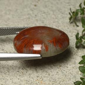 Coral Gemstone in 19.7 x 15.7 mm Size for Sale, Coral Stone in Multicolor Color