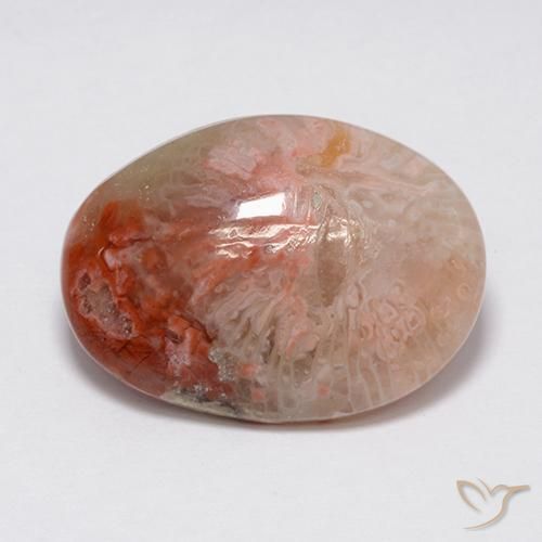 8.90 ct Multicolor Coral Stone, Natural Coral in Oval Cabochon Shape for Sale