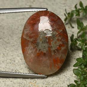 Multicolor Coral Gem - 12.7ct Oval Cabochon (ID: 492203)