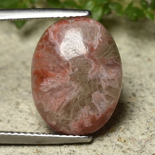 6.22 ct Oval Coral, 15.9 x 12.3 mm From Indonesia, Photo A