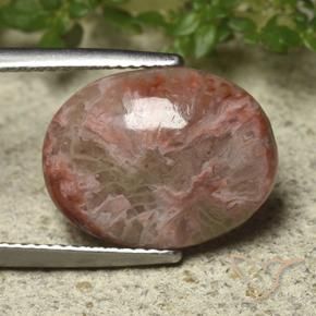 6.22 ct Multicolor Coral Stone, Natural Coral in Oval Cabochon Shape for Sale