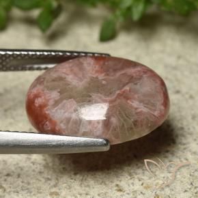 Coral Gemstone in 16 x 12 mm (calibrated) Size for Sale, Coral Stone in Multicolor Color