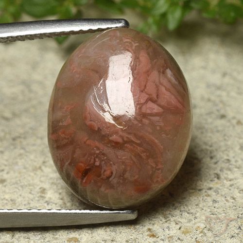 9.92ct Natural Multicolor Coral, Oval, Translucent
