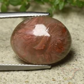 9.92 ct Multicolor Coral Stone, Natural Coral in Oval Cabochon Shape for Sale