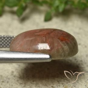 Coral Gemstone in 16.4 x 13.1 mm Size for Sale, Coral Stone in Multicolor Color