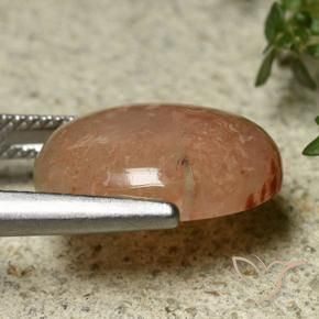 Coral Gemstone in 16 x 12 mm (calibrated) Size for Sale, Coral Stone in Multicolor Color