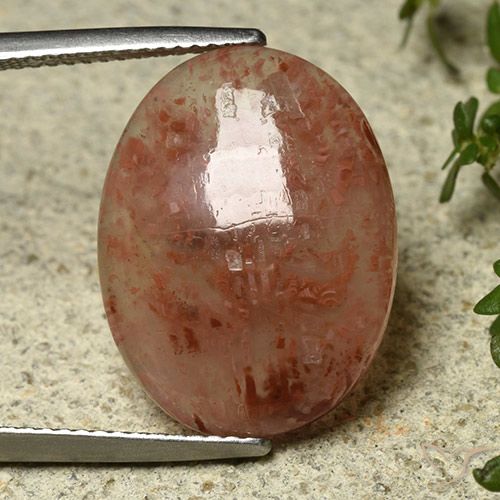 9.08 ct Oval Coral, 19.4 x 14.8 mm From Indonesia, Photo A
