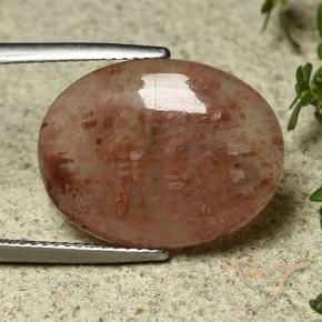 9.08 ct Multicolor Coral Stone, Natural Coral in Oval Cabochon Shape for Sale