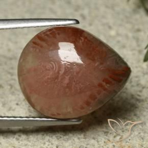 6.87 ct Multicolor Coral Stone, Natural Coral in Pear Cabochon Shape for Sale