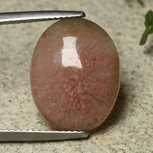 7.81ct Natural Multicolor Coral, Oval, Translucent