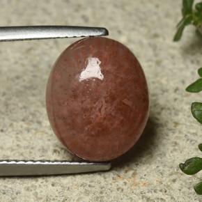 Многоцветный Коралл Камень - 6.4ct Овал Кабошон (ID: 492212)