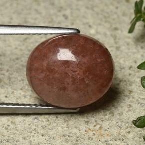 6.35 ct Multicolor Coral Stone, Natural Coral in Oval Cabochon Shape for Sale